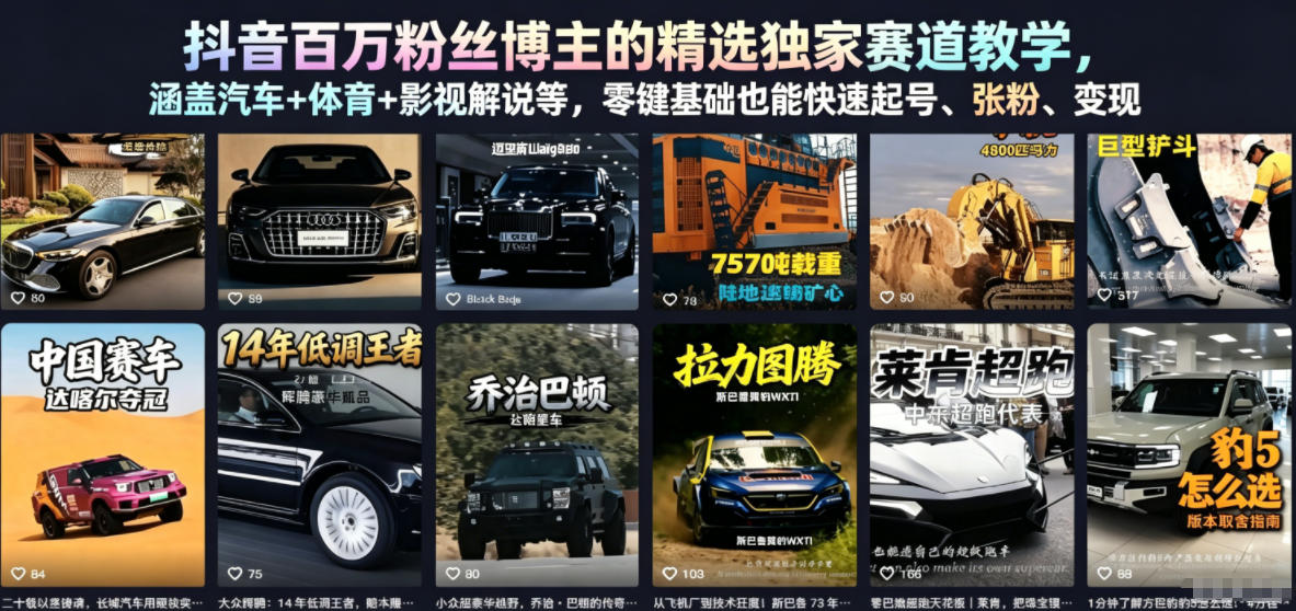 抖音百万粉丝博主的精选独家赛道教学，涵盖汽车+体育+影视解说等，零基础也能快速起号、涨粉、变现(更新0701)-抖音新作品监控助手