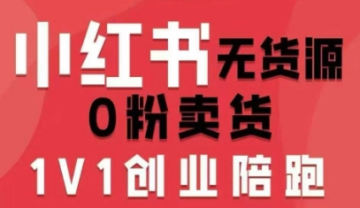小红书无货源0粉电商课，开店准备、选品策略、笔记撰写、视频剪辑、数据分析、账号打造、资料文档(更新26年7月24日)-抖音新作品监控助手