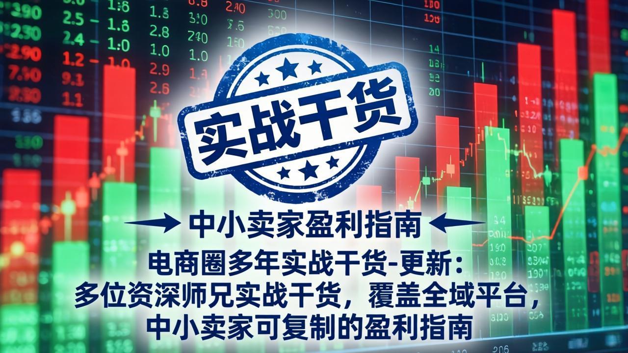电商圈多年实战干货-更新2026：多位资深师兄实战干货/覆盖全域平台，中小卖家可复制的盈利指南-抖音新作品监控助手